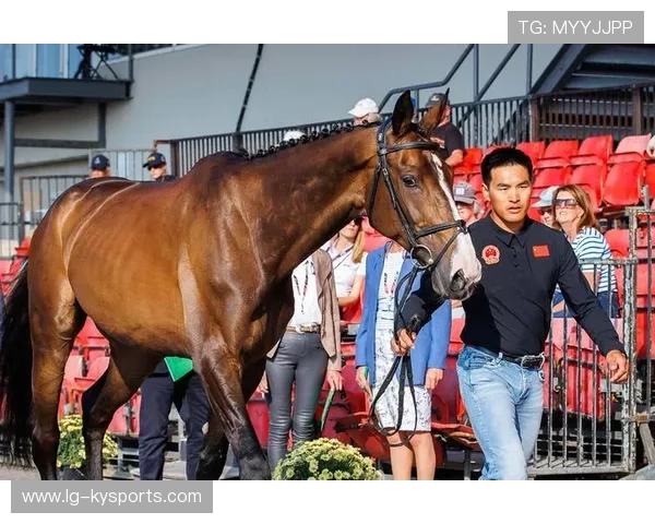 伊朗青少年马术选手在2024年全国青少年马术锦标赛中表现出色，获得多项荣誉。